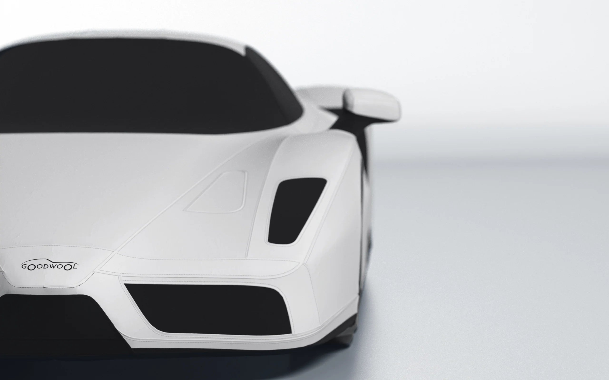 Enzo
