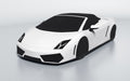 Lamborghini Gallardo LP560-4 Spyder car cover
